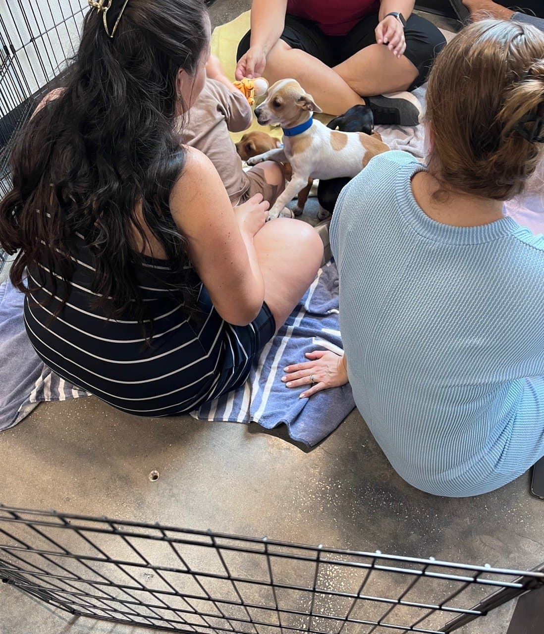 Women sit in a circle with a puppy in the middle which is very excitable