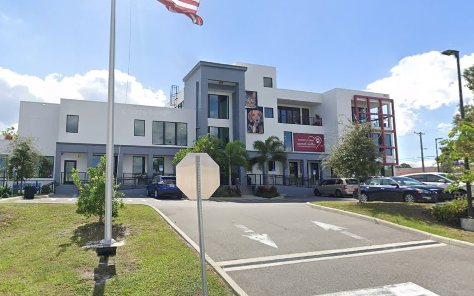 Tampa Bay Humane Society: A Complete Guide to Visiting with Your Kids