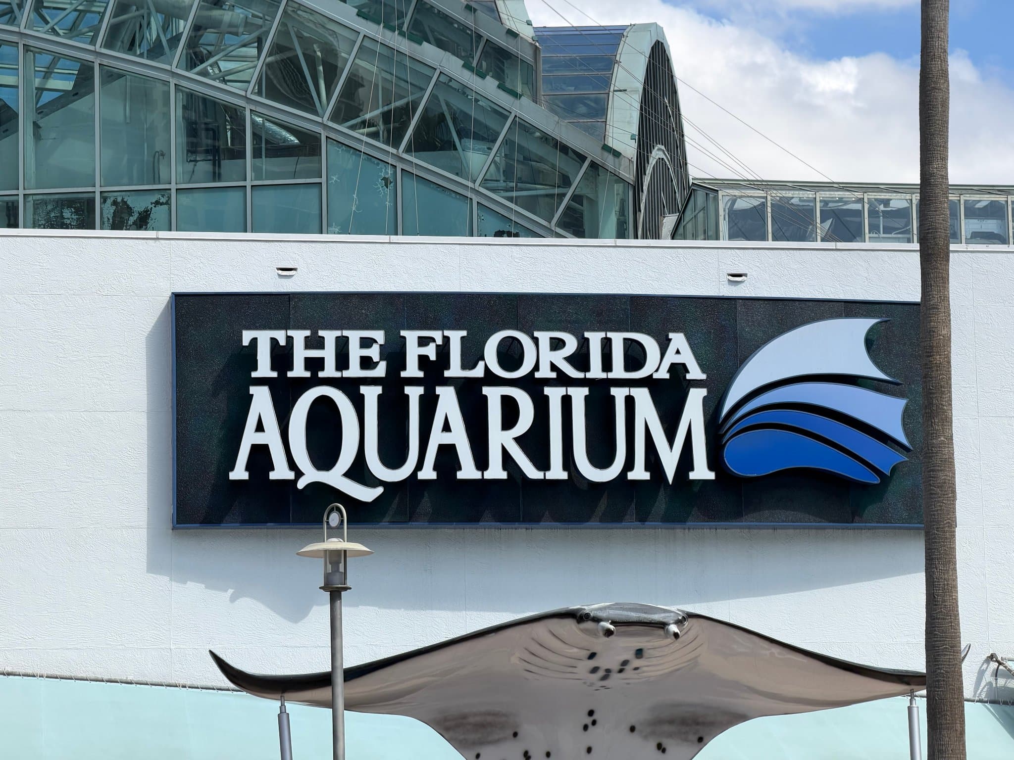 The Florida Aquarium — The Perfect Family Day Out in Tampa for All Ages